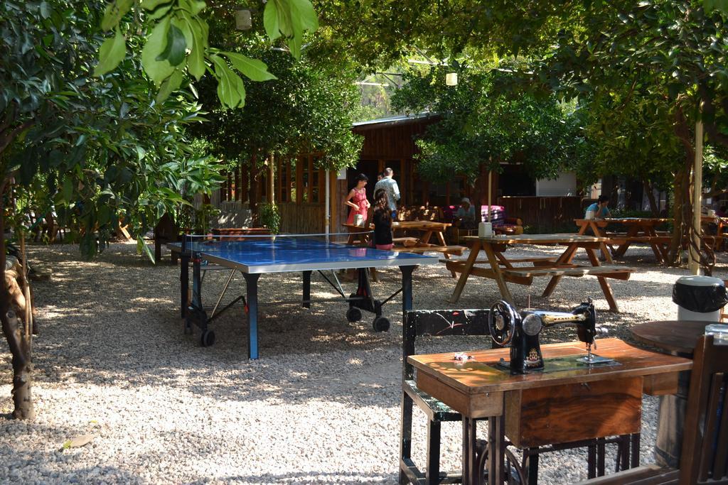 Olympos Doga Pansiyon Kültér fotó